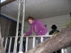 11/5: Habitat Volunteer Day