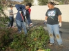 12/15/12: JVHS Honor Society Volunteers