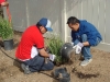 Wells Fargo 160 Year Anniversary IE Volunteer Activity