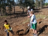 Horseshoe Lake Park Community Service Day