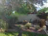 Drought Tolerant Landscaping