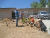 7/26/12: Home Depot Landscapes