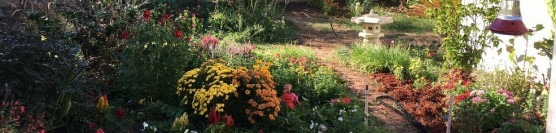 University of Redlands & RCC Students Transform Yard for 100 Year Old Riverside Resident